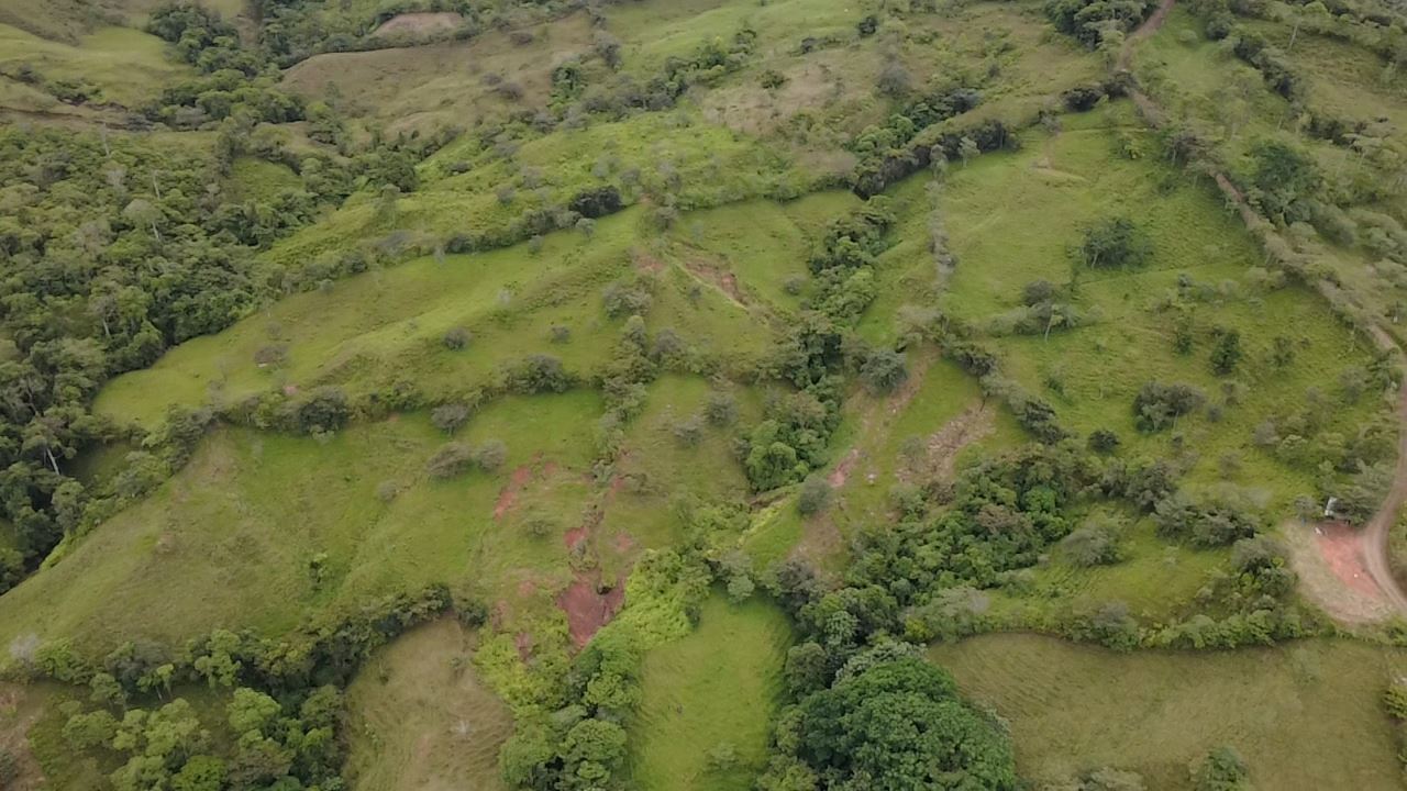 For Sale: 3.8 Hectares in Pérez Zeledón with Creek, Fruit Trees, and Stunning Views
