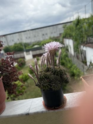 Modern Home for Rent – Perfect for Families & Professionals | Safe ...