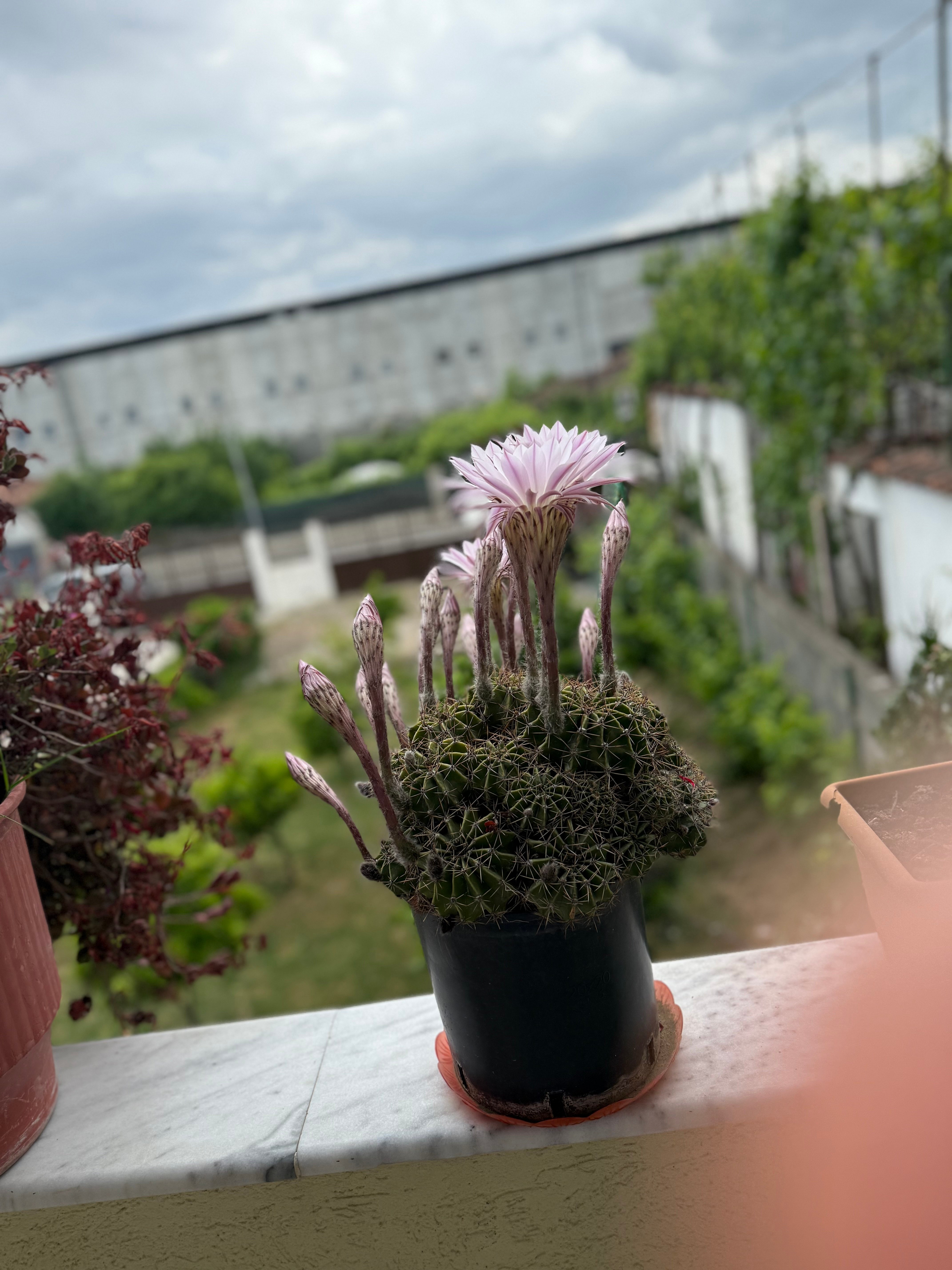 Modern Home for Rent – Perfect for Families & Professionals | Safe Area | Great Location