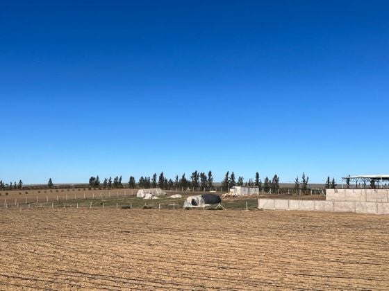 EN VENTA: Finca agrícola con título de propiedad completo: ...