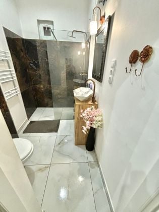 Central apartment for rent 