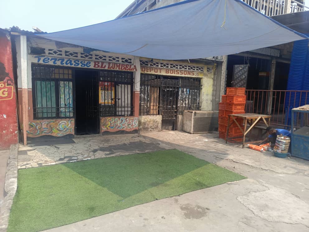 Commercial Plot on a Macadam Road for Sale | District 1 – N'djili | Ref. Kimbuta Corridor