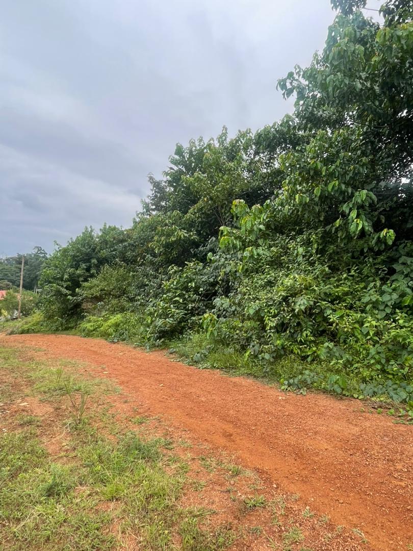 Terreno edificabile in vendita a Dibombari.