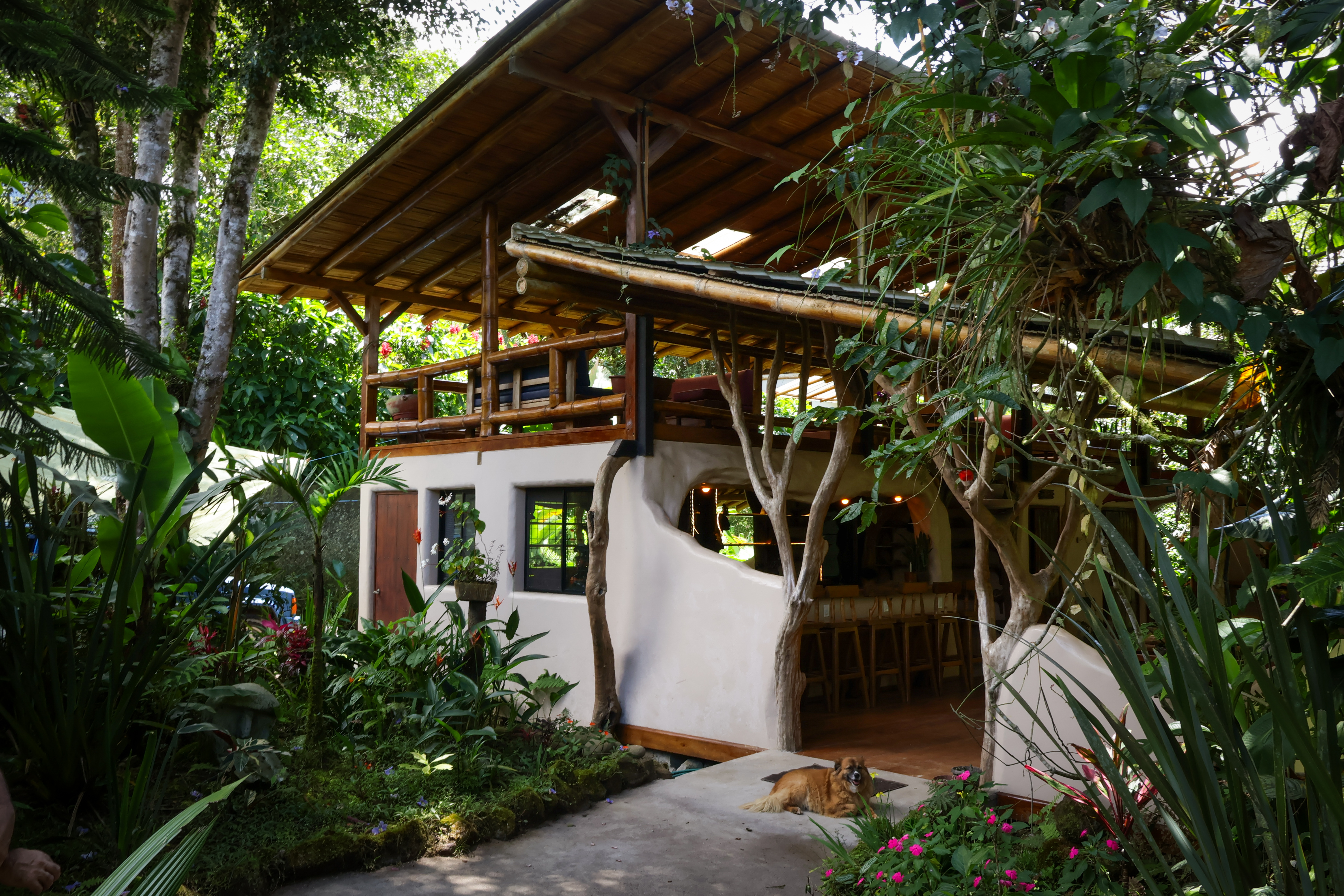 Unique Two-Building Property with River Access in Mindo, Ecuador (Former Mot Mot Bistro)