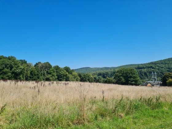 Belgique 5544 Agimont : beaux terrains situés hors lotissement, ...