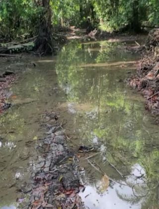 25,26 acres de havre de paix immaculé en bordure de ruisseau ...