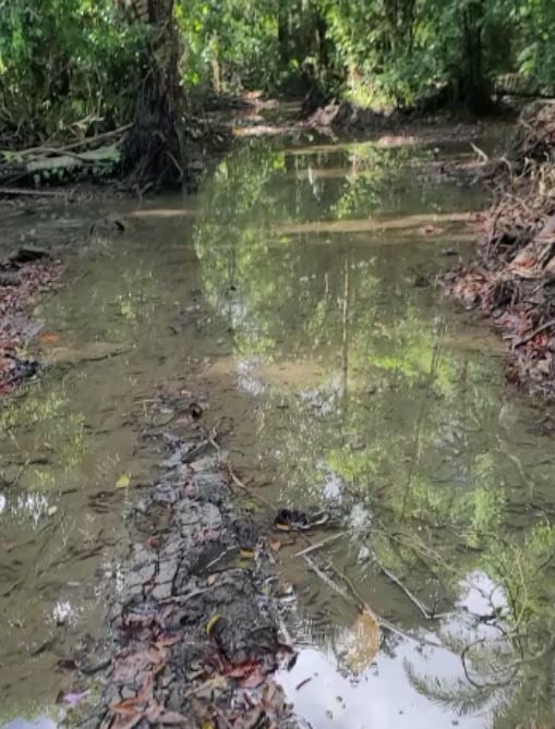 25,26 acres de havre de paix immaculé en bordure de ruisseau à Frank's Eddy, Belize