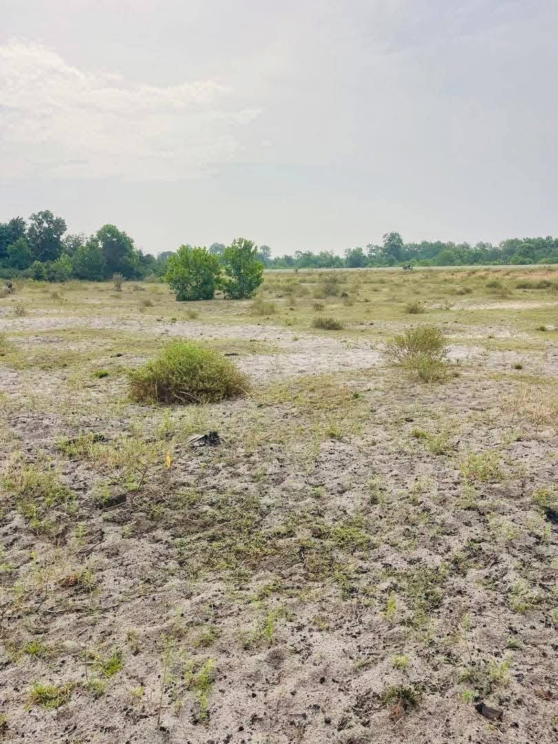 Vendita di un terreno di 167 ettari a Mondoukou, al confine con la strada Assinie 