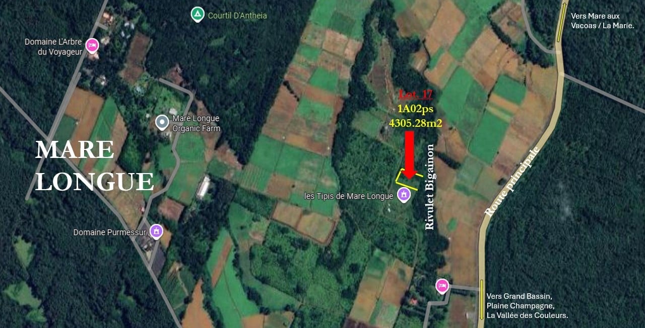 Terrain a vendre a Mare Longue