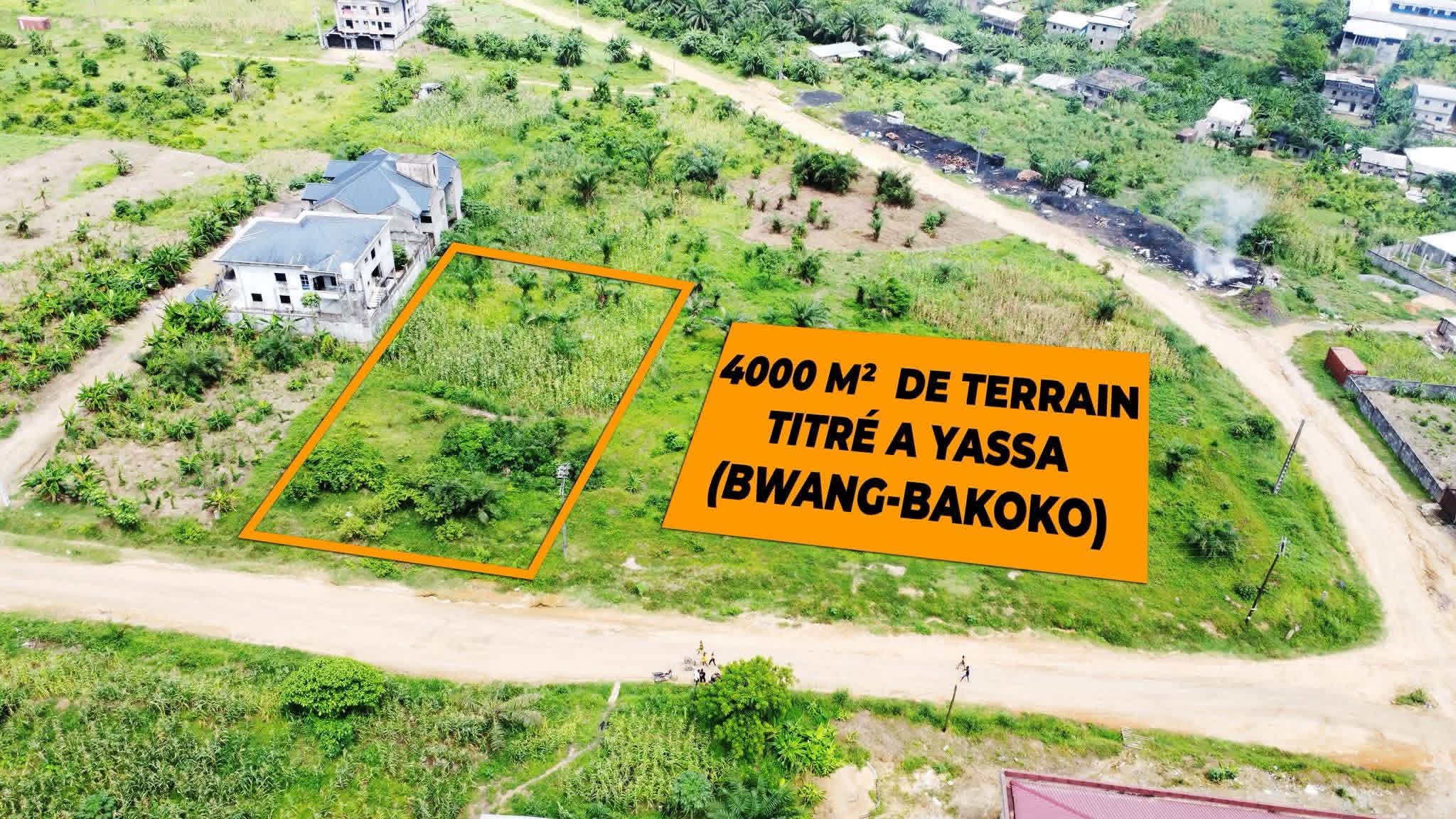 300m² disponibles à yassa Bwang 