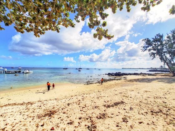 Charmant appartement en front de mer, un véritable cocon au parfum ...