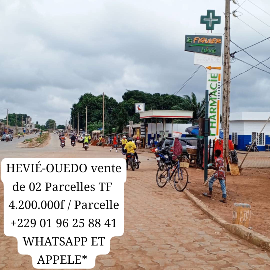 BENIN TF AT HEVIÉ CENTRE-OUEDO sale of 02 PLOTS 