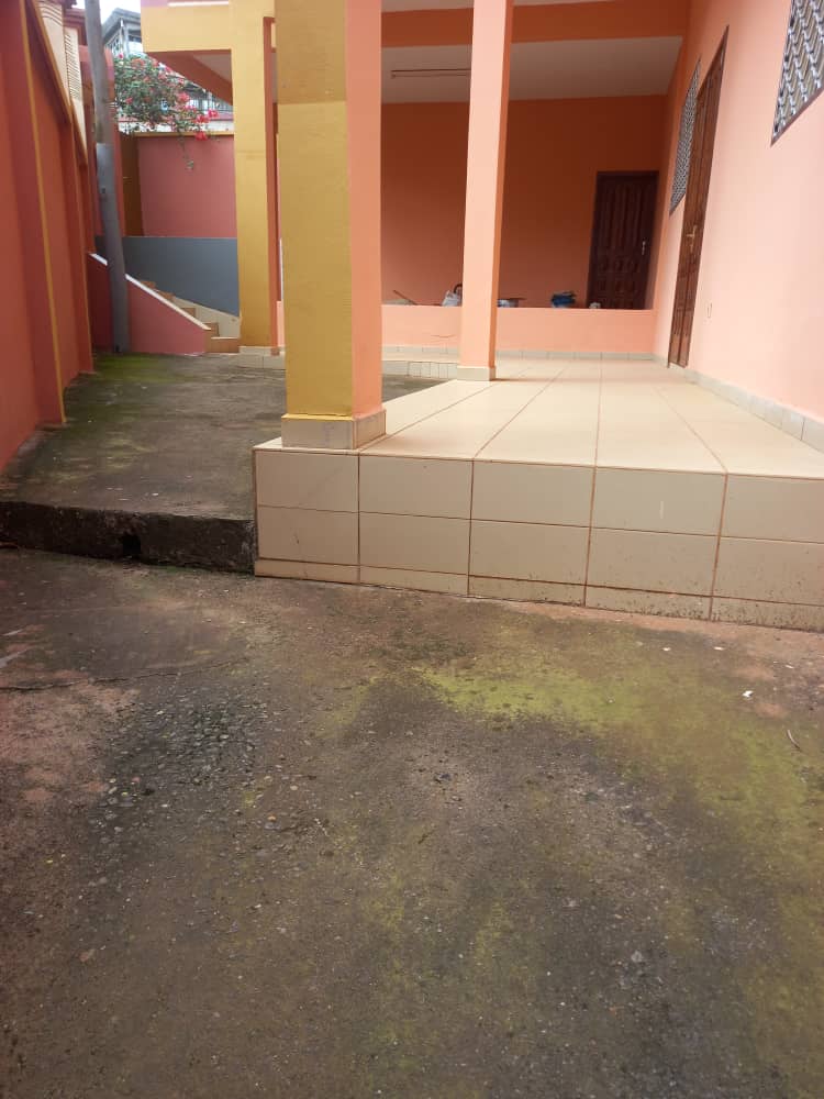 Magnifique Appartement Individuel Bon Standing à louer à Biyem-Assi 