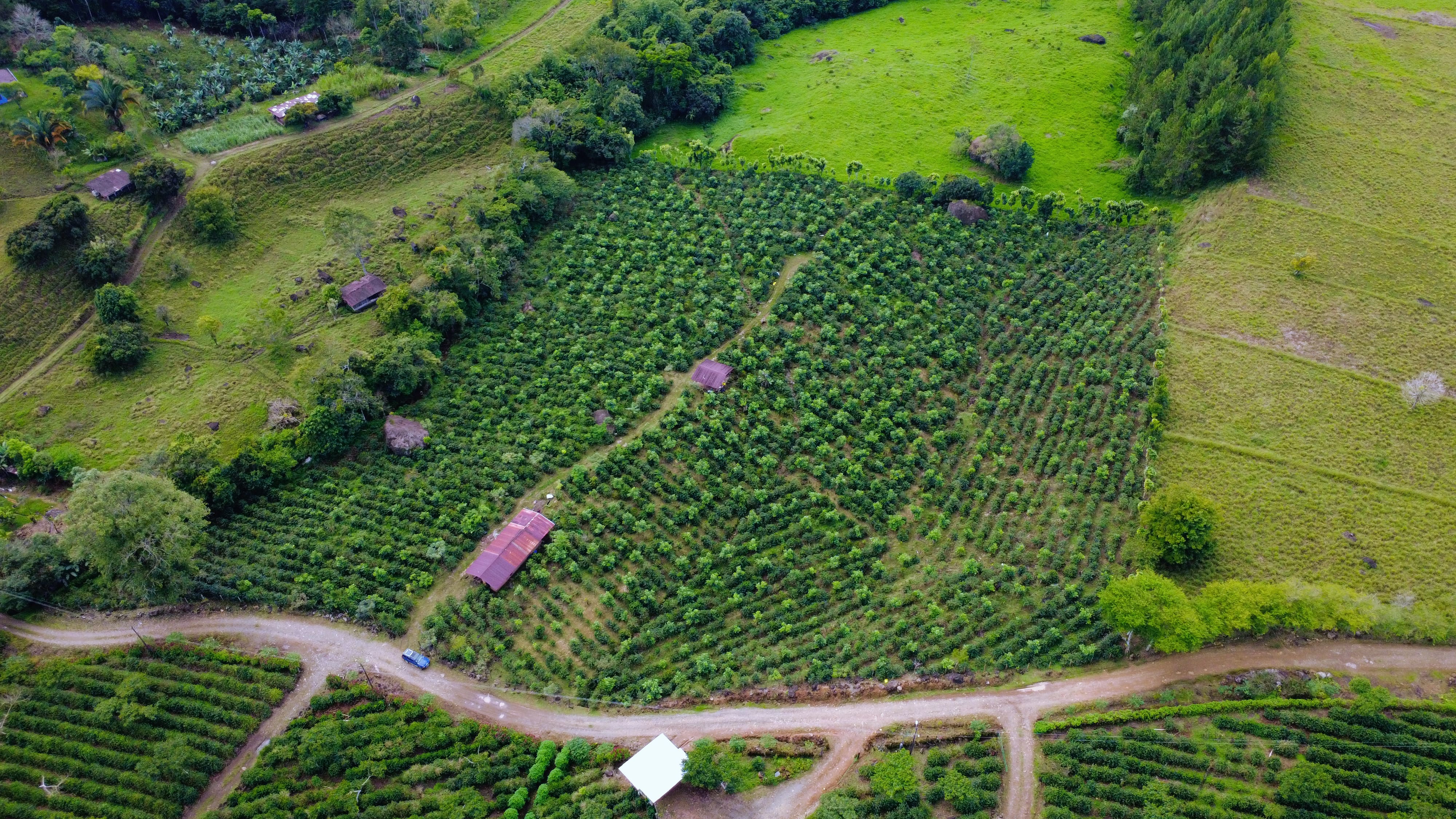 FINCA DE CAFÉ DE 2.3 HECTÁREAS CON VISTAS A MANANTIALES, ARROYO Y MONTAÑA EN SANTA ELENA, PÉREZ ZELEDÓN