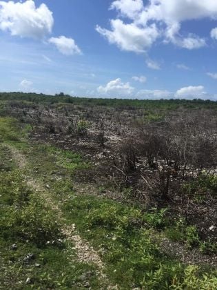 Terreno agrícola en venta en Zanzíbar, Tanzania ...