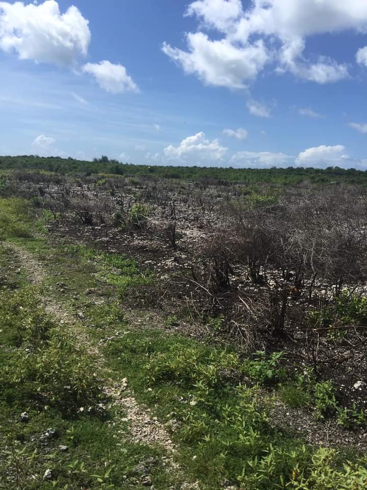 Terreno agrícola en venta en Zanzíbar, Tanzania ����.