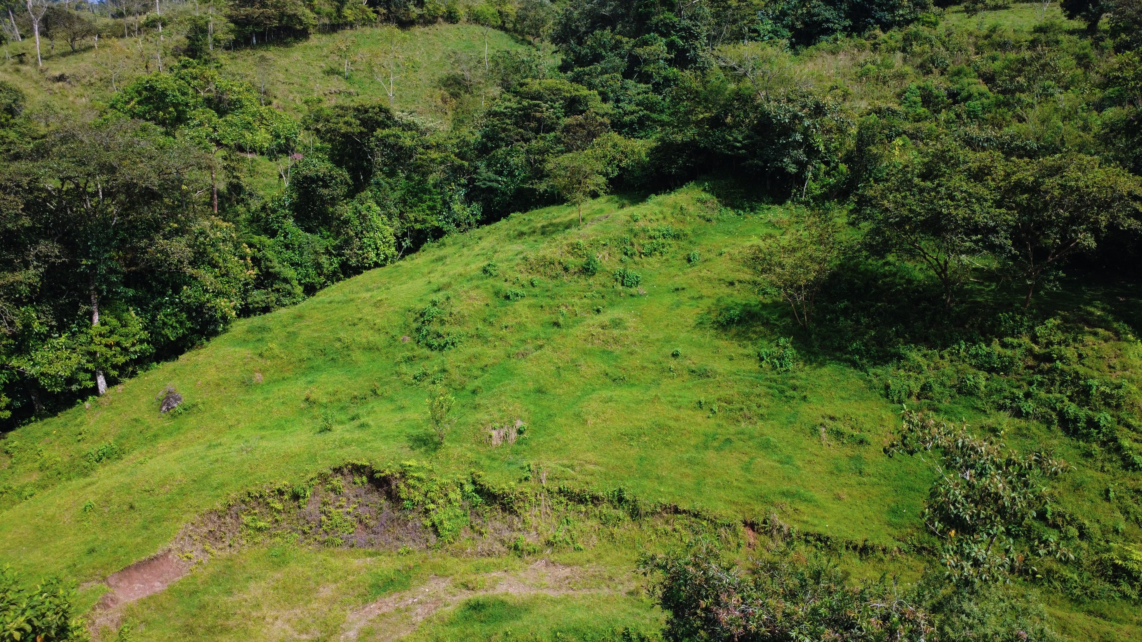 FOR SALE: 8,667 m² LOT IN MIRAFLORES, PÉREZ ZELEDÓN