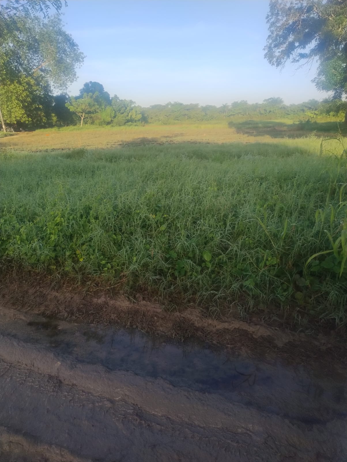 VENDO TERRENO EN ARROYO HONDO VIEJO 