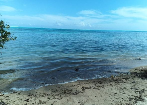 Moorea Loue maison bord de mer à Maatea. Libre le 15 ...