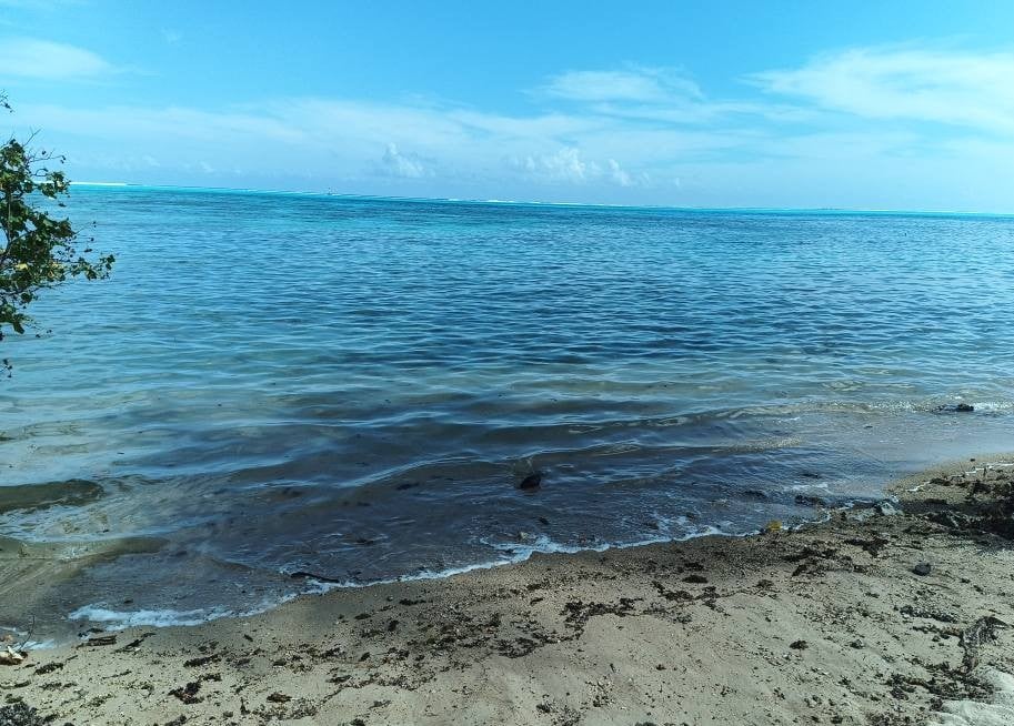 Moorea Loue maison bord de mer à Maatea. Libre le 15 décembre. En accès mer