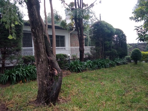 Elegant house inscribed in a big compound.