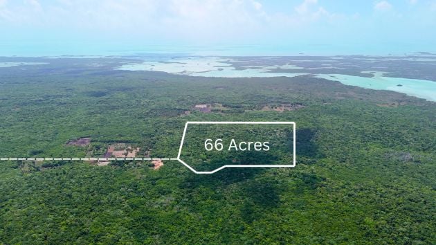 Gran extensión de selva de 66 acres en el norte de Belice: ideal ...