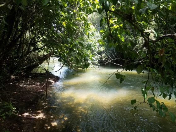 Propriété agricole de 50 acres avec ruisseau permanent ...