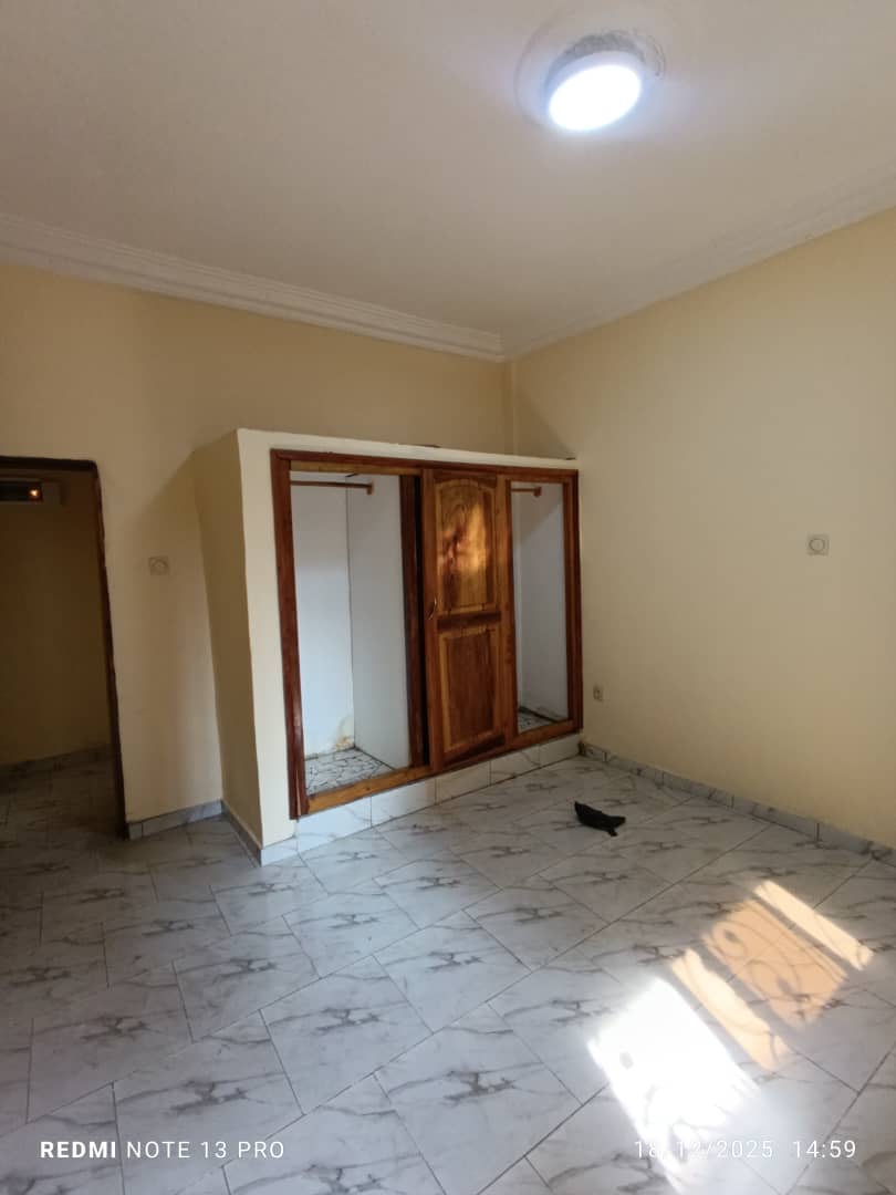 Magnifique Appartement Bon Standing Neuf à louer à Nkoabang 