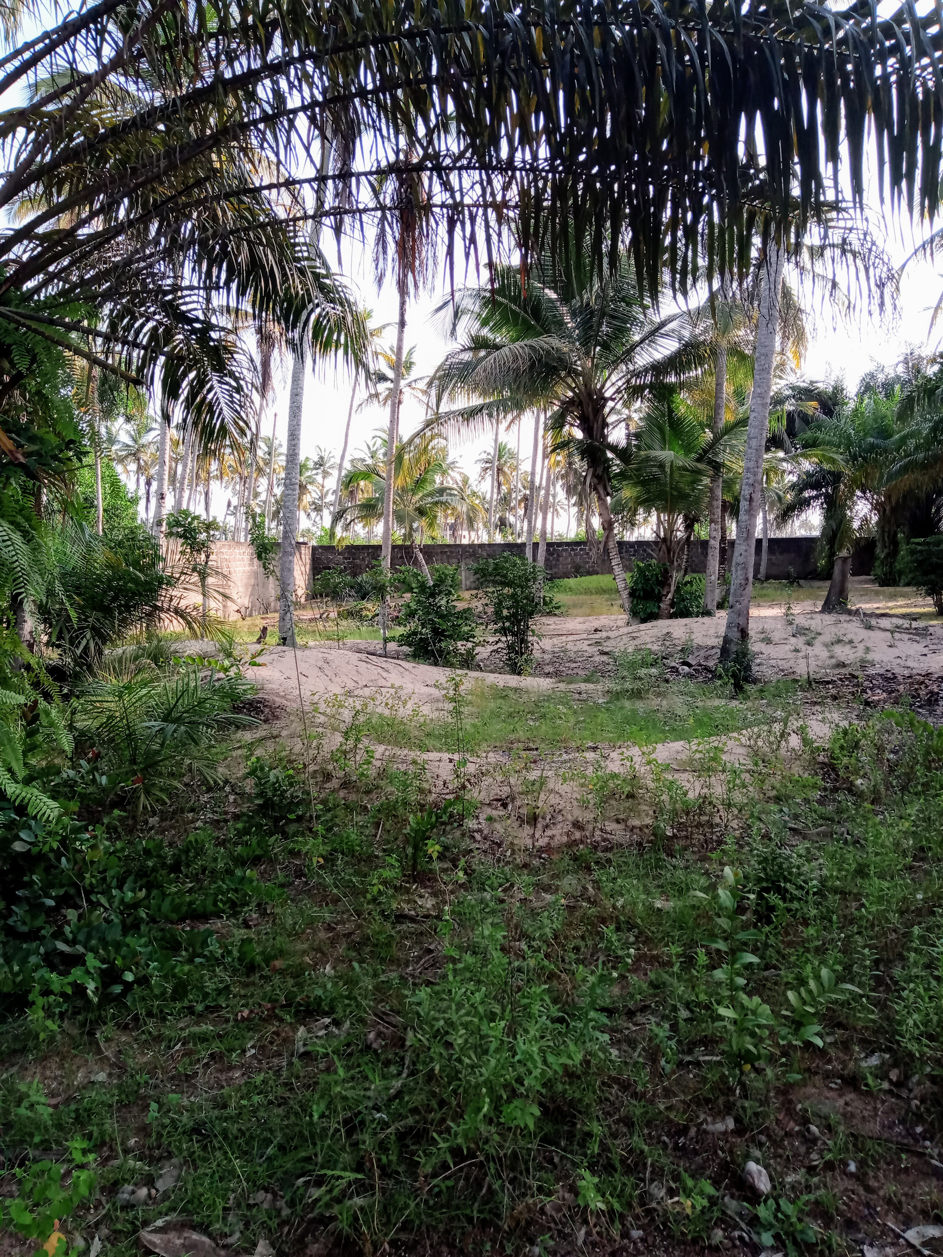 Terrain à vendre à Mondoukou / Grand Bassam