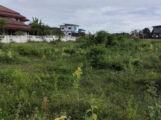 VENDO TERRENO IN THAILANDIA CON CHANOTE