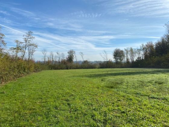 Land for sale – Residential project or commercial building – ...