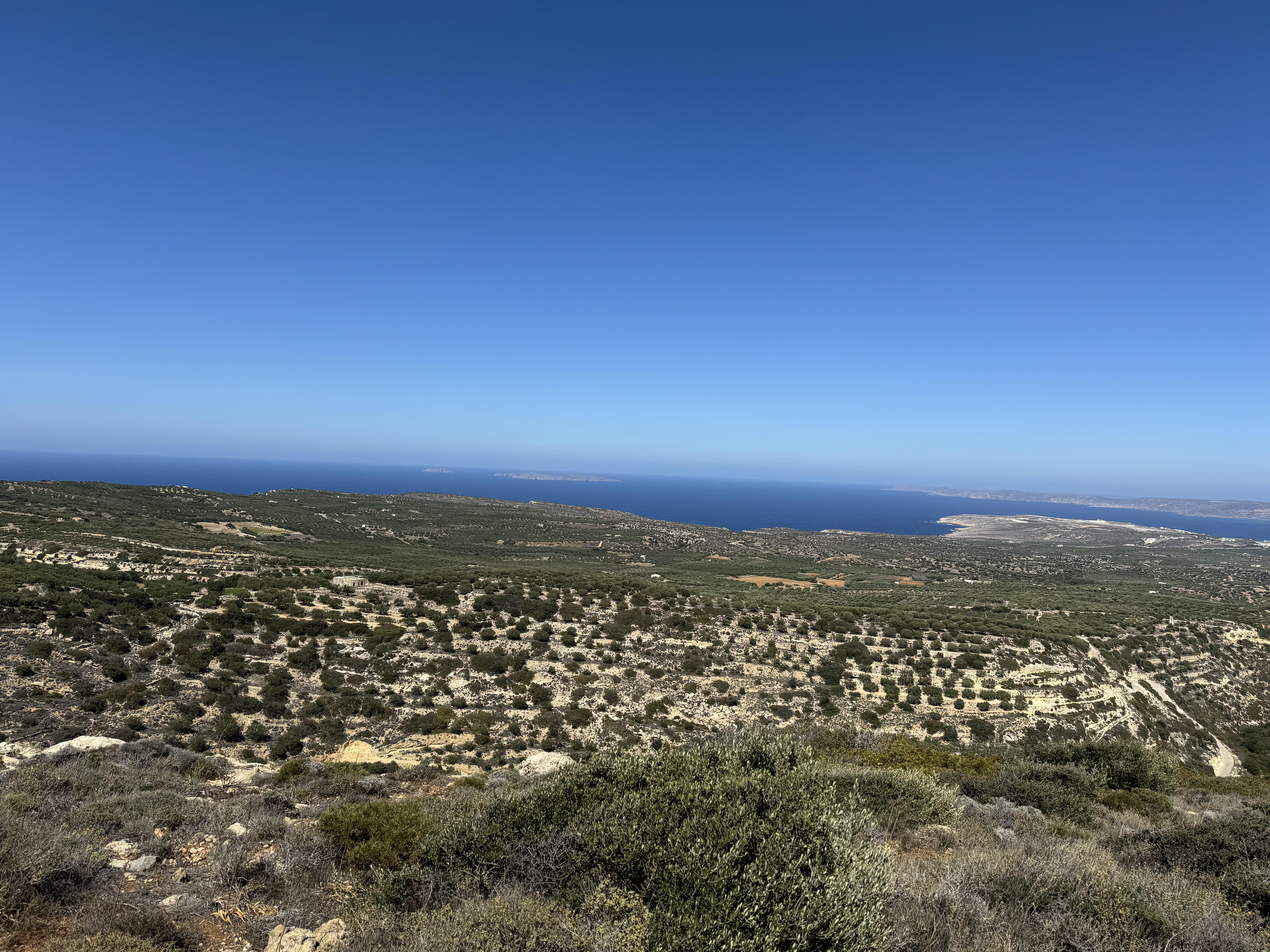 Sitia, Crete - irrigated olive grove 22000 square meters (sea view, power) 110000 euro