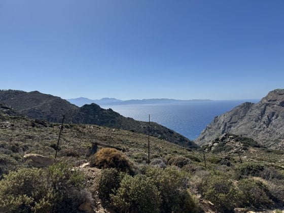 Chamezi/Sitia, Crete - irrigated olive grove 10000 square meters - 250 ...