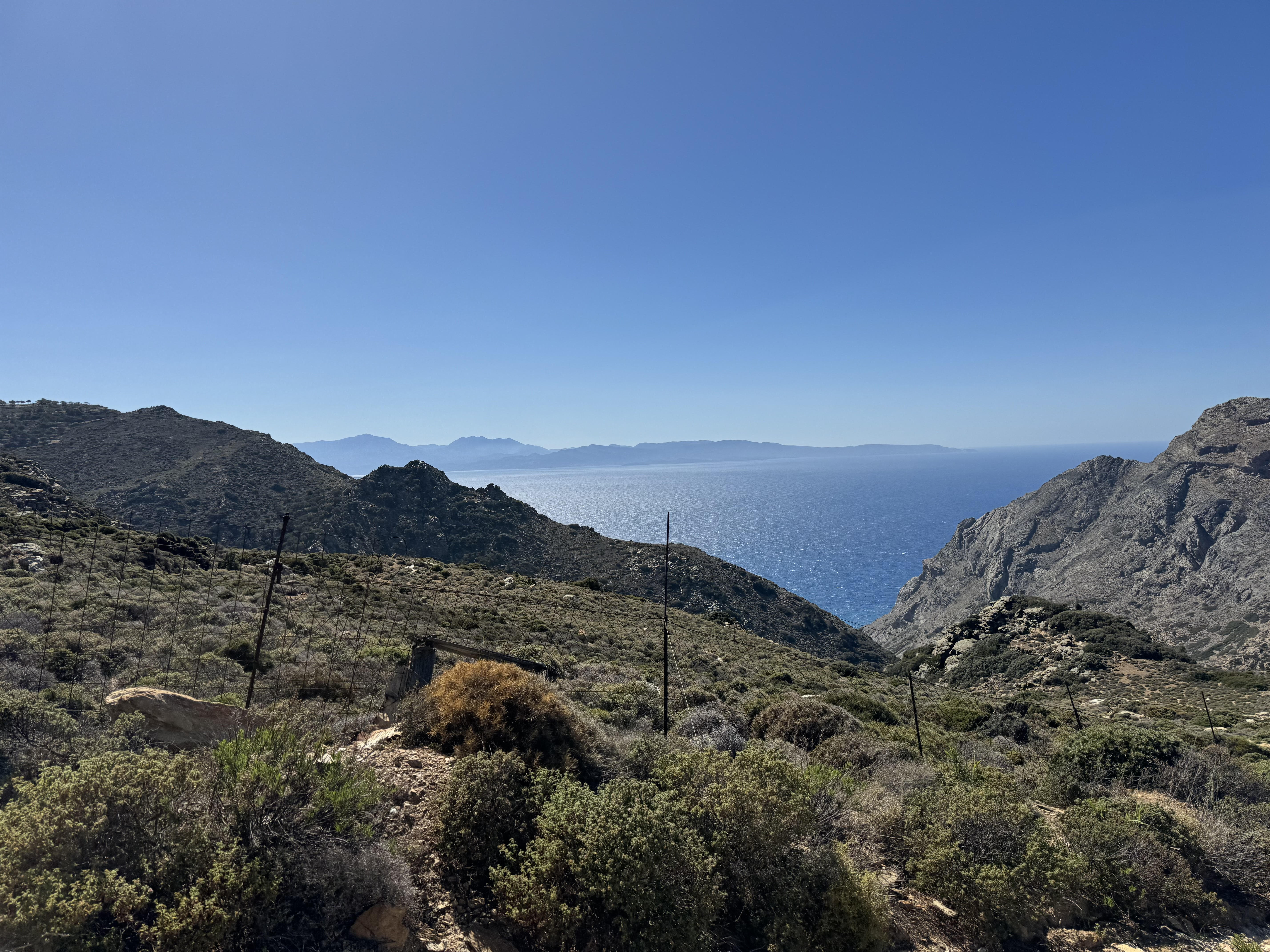 Chamezi/Sitia, Crete - irrigated olive grove 10000 square meters - 250 trees 60000 euros