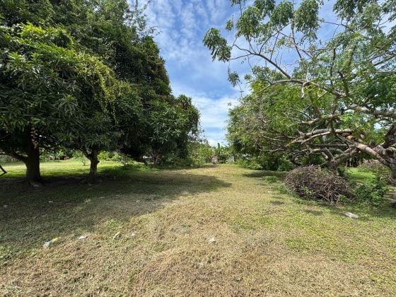 600 m² Land for Sale – Central Nueva Gorgona, Minutes from the ...