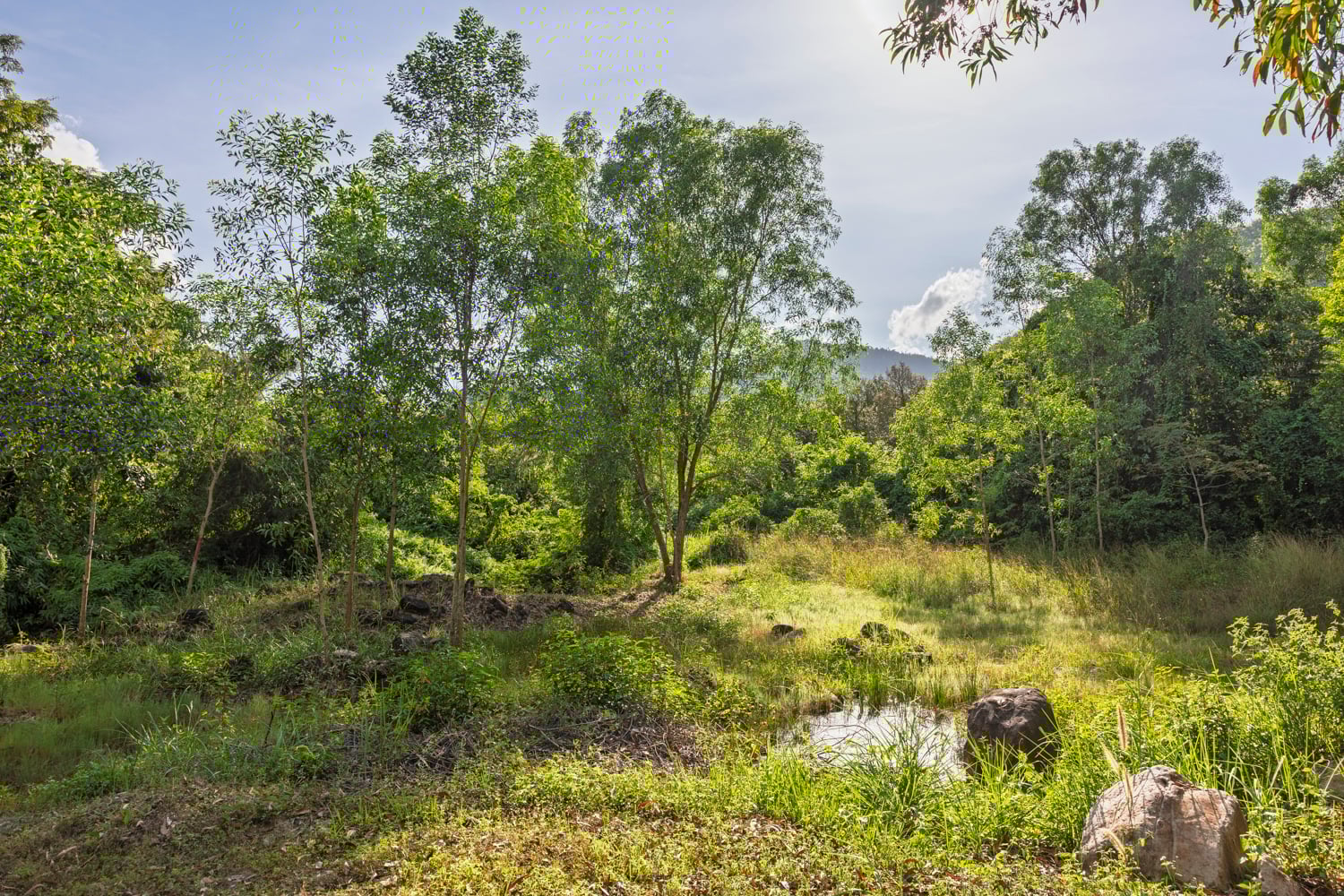 Evolving guesthouse in Kampot, Cambodia