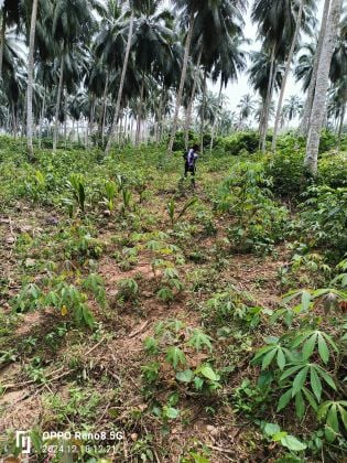 TERRENO EN VENTA 2.8 ha