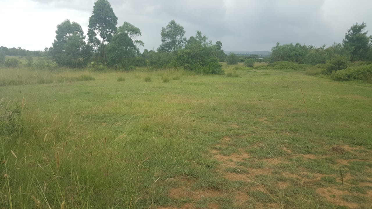 50 acres land in nyeri county
