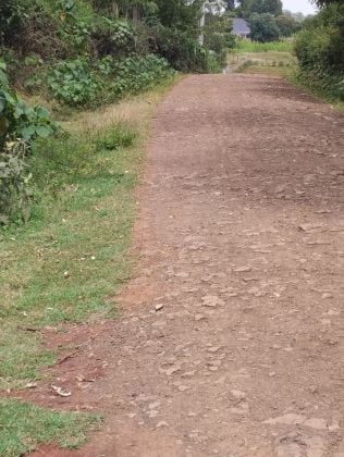 Lotti residenziali di 50*100 piedi 