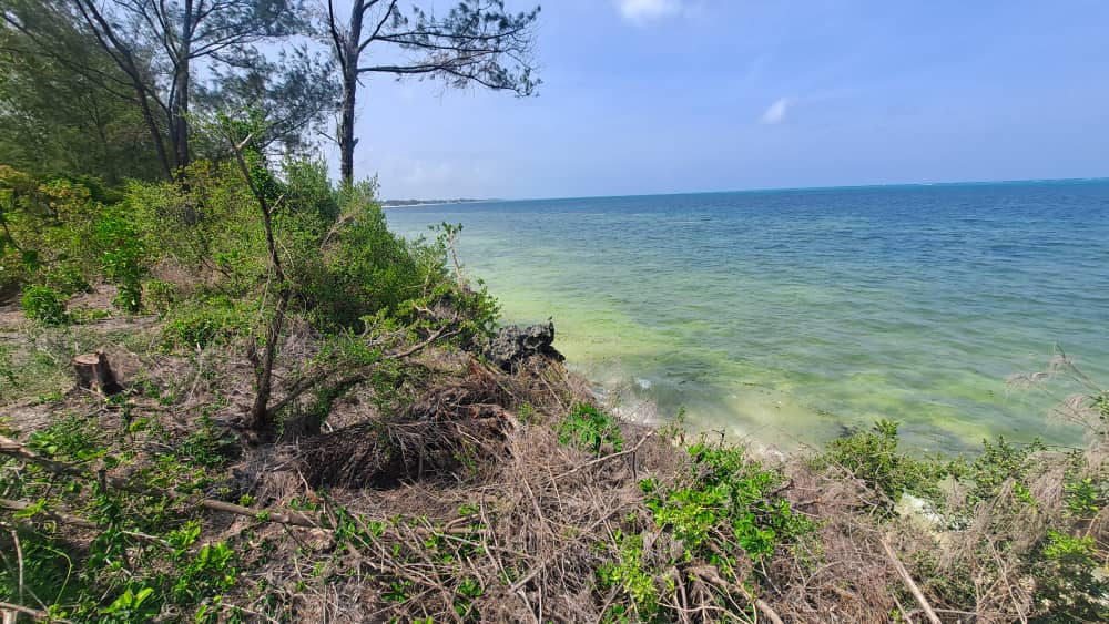 Terrain de plage de Zanzibar à vendre - Région de Kiwengwa