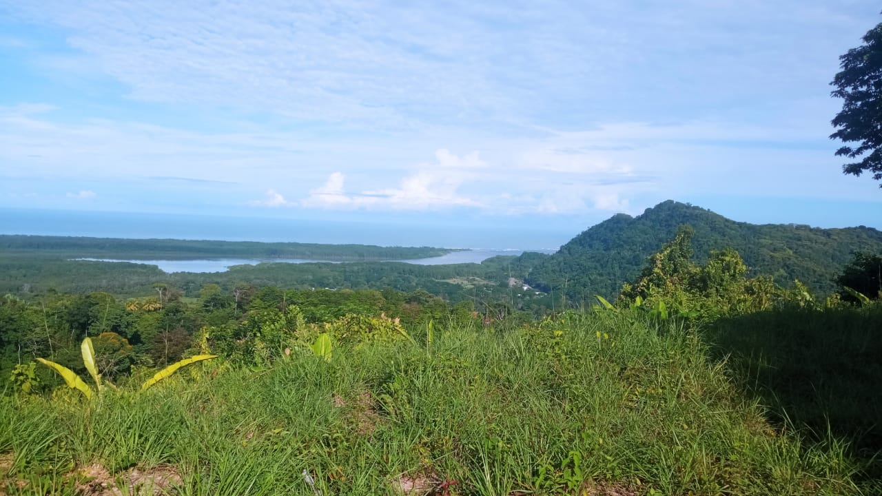 PROPIEDAD EN VENTA EN CORONADO DE OSA, PUNTARENAS