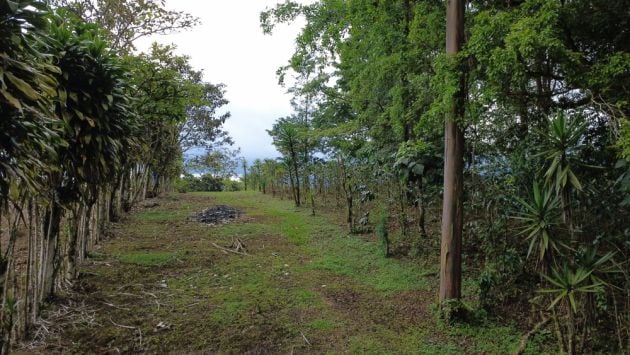 Propiedad en Venta de 5,186 m² en San Francisco de Cajón