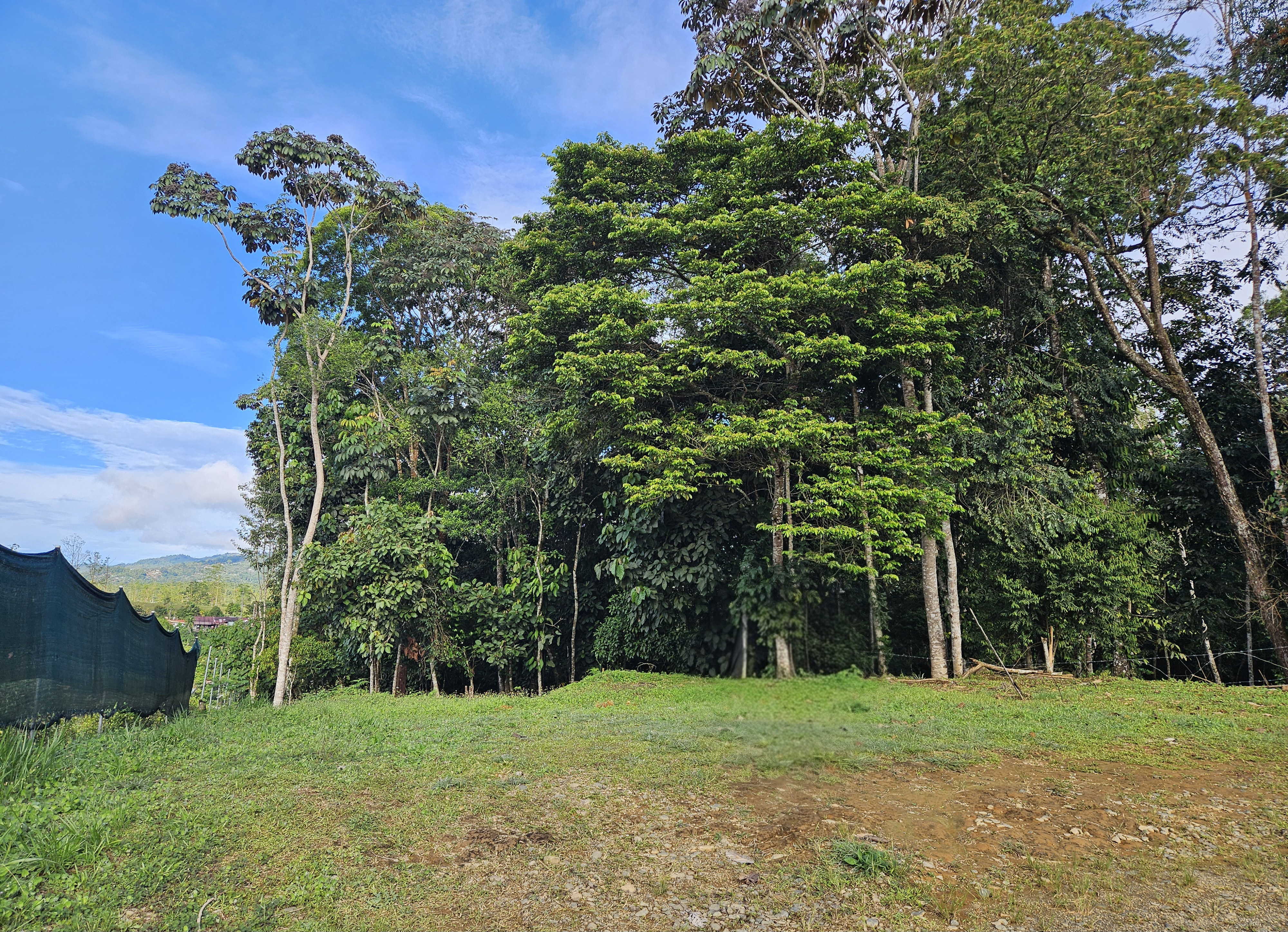 Lote para Inversión en Venta en La Bonita, Pérez Zeledón