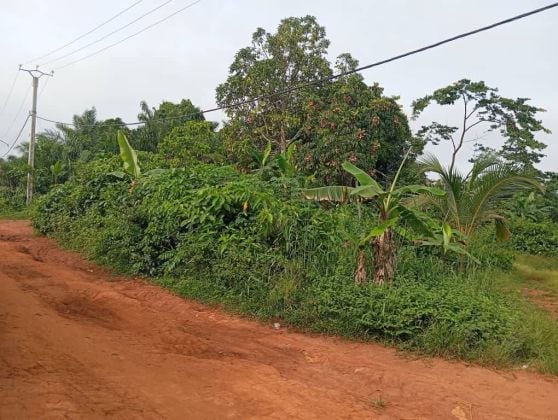 Terrain titré à vendre à Dibombari 