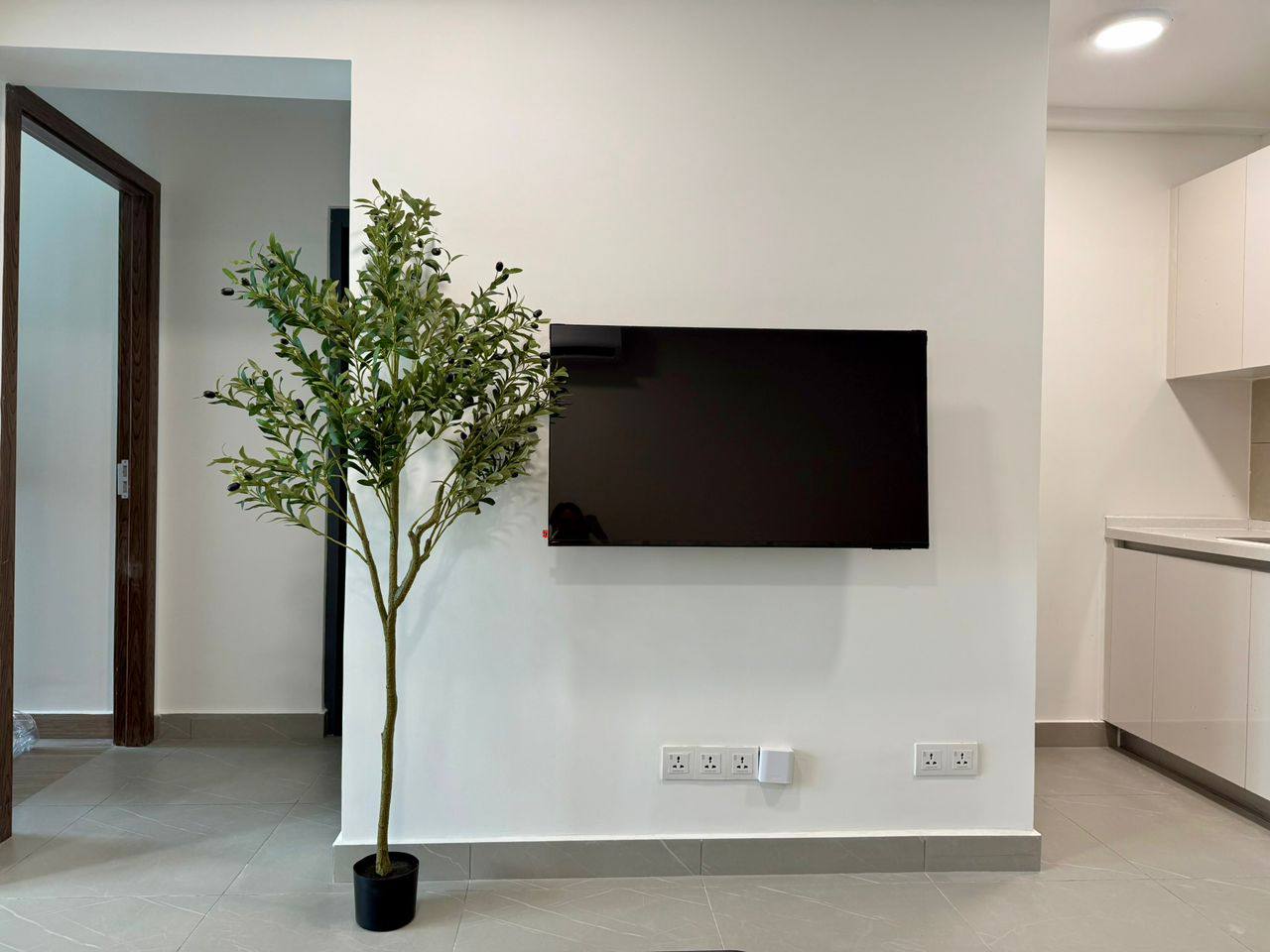 Newly One Bedroom Condo for Rent near Aeon Mall 3