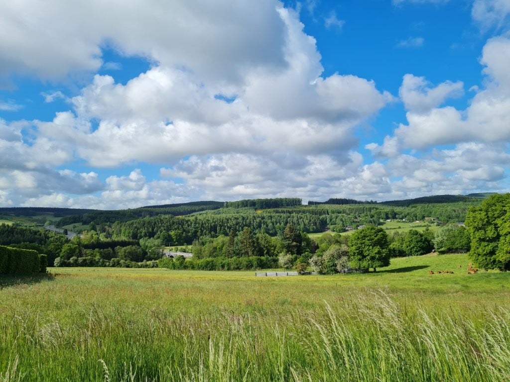 Belgique Ardenne 6970 Ortheuville - terrain à batir de 14a 79ca pour maison 4 façades.