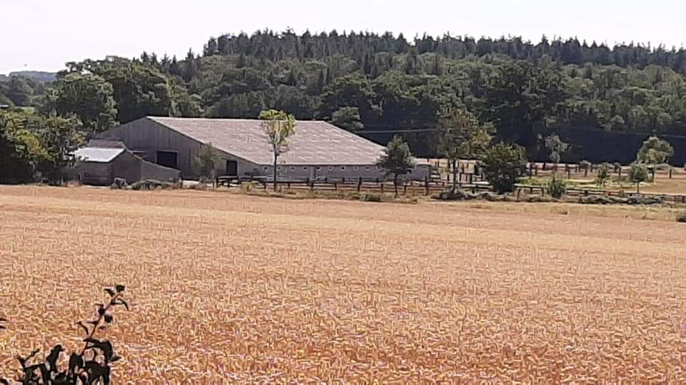  Propriété équestre à vendre – 12 hectares – Suisse Normande, Normandie