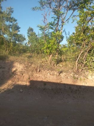 Land for sale