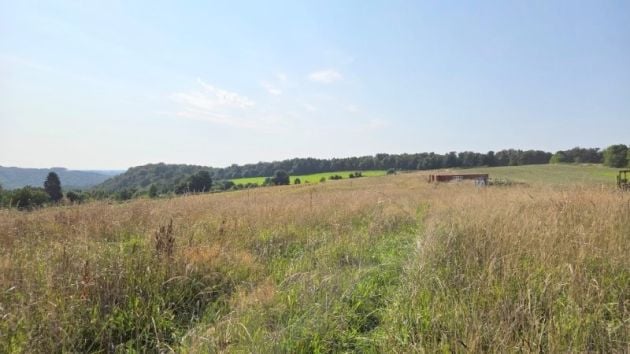 Belgique 6830 Les Hayons : grand terrain de plus d'un hectare, dans la ...