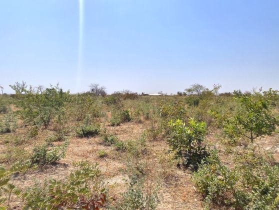 TERRAIN D'UN HECTARE À TANSOBTENGA À L'EXTÉRIEUR DU ...